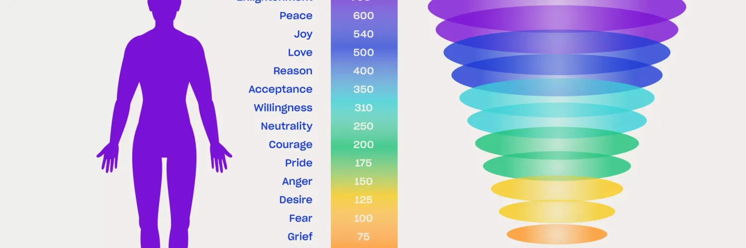 simulation soft